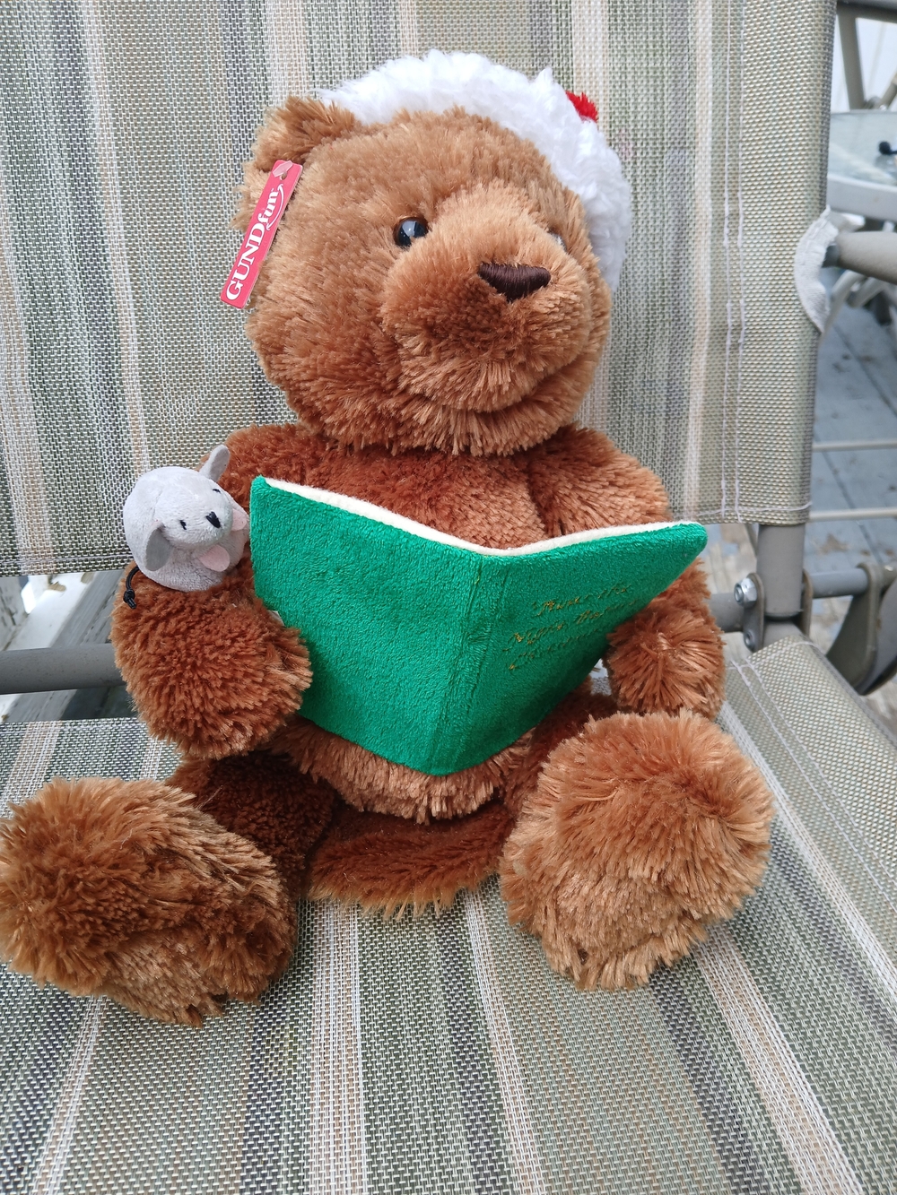 Gund Brown Bear with Green Book and White-Trim Santa Hat